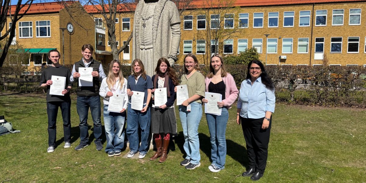 TFIH stipendium tycho Brahe